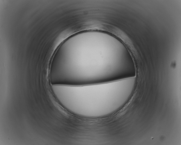 X0000097661234200802290914