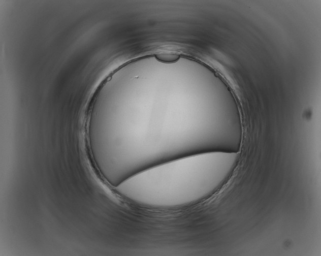 X0000097661235200802290914