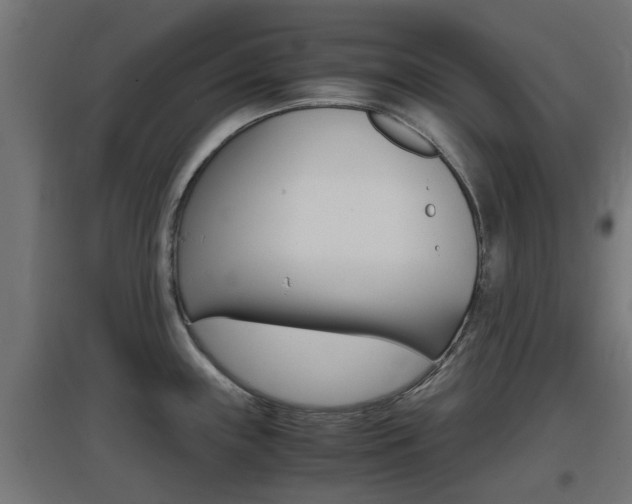 X0000097661243200802290914