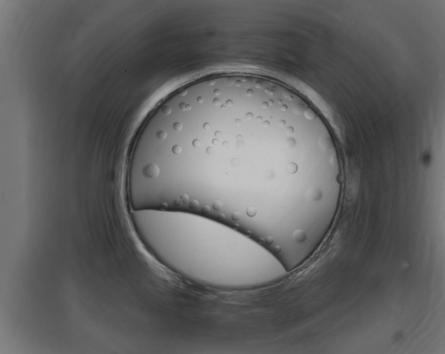 X0000097661245200802290914