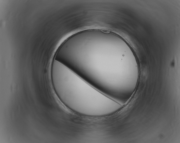 X0000097661246200802290914