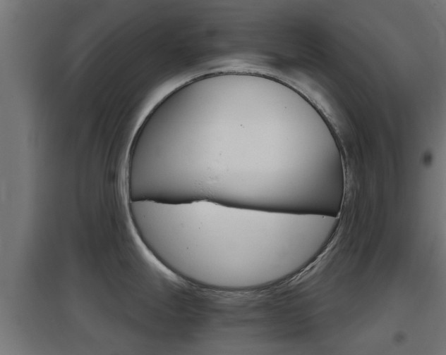 X0000097661247200802290914