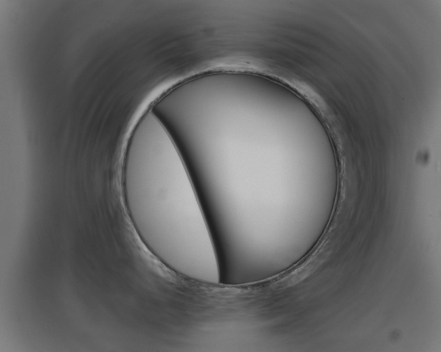 X0000097661248200802290914