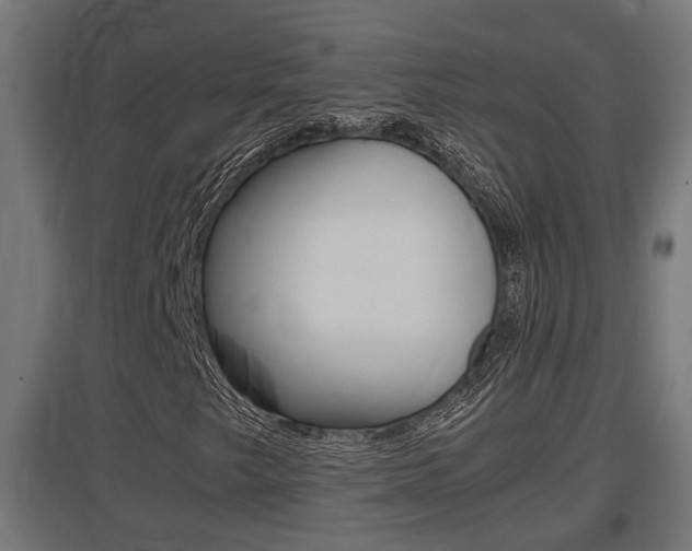 X0000097661249200802290913
