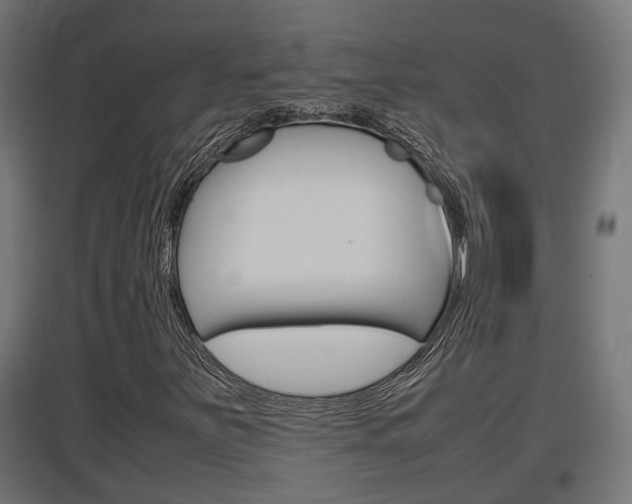 X0000097661251200802290913