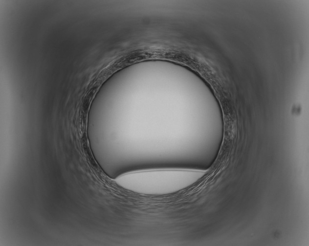 X0000097661253200802290913
