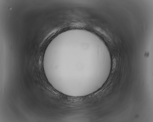 X0000097661254200802290913