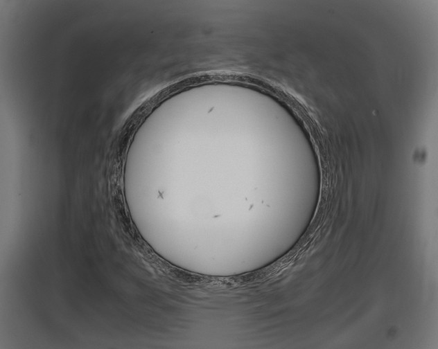 X0000097661255200802290913