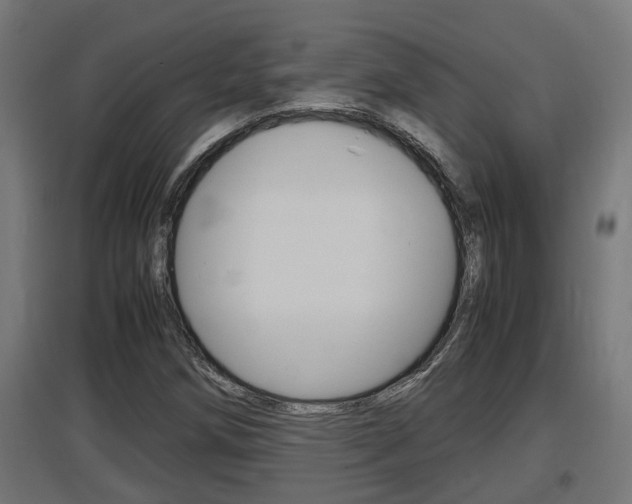X0000097661258200802290913