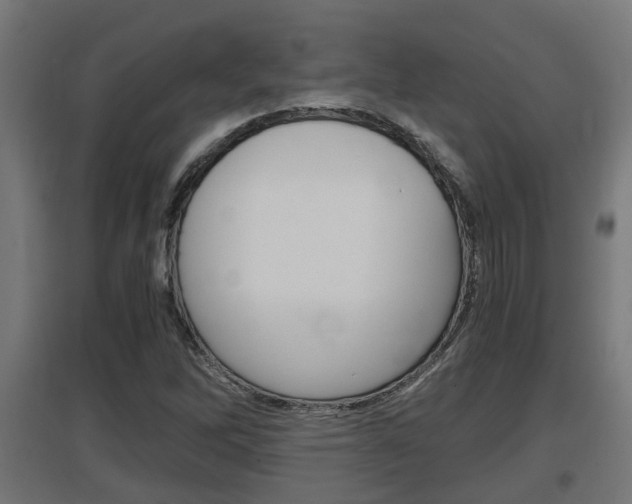 X0000097661262200802290913