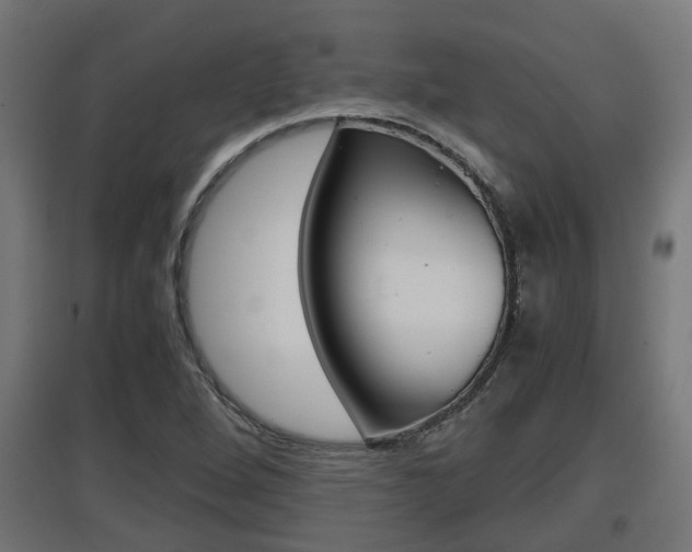 X0000097661264200802290913