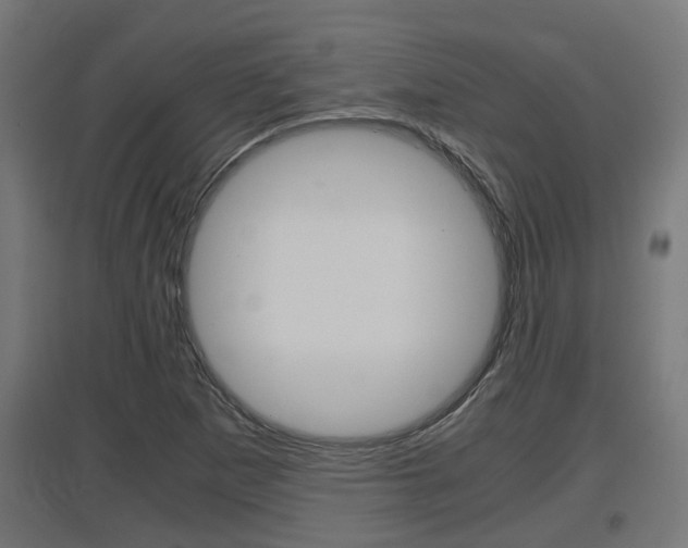 X0000097661265200802290913
