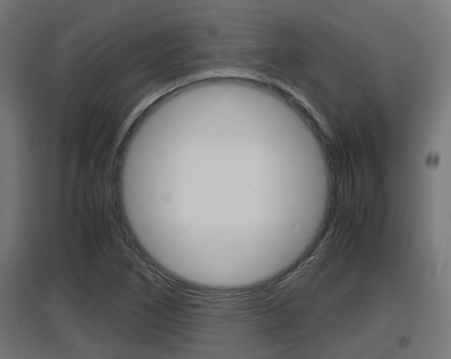 X0000097661266200802290913