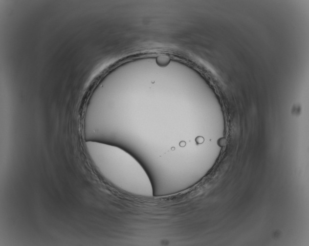 X0000097661267200802290913