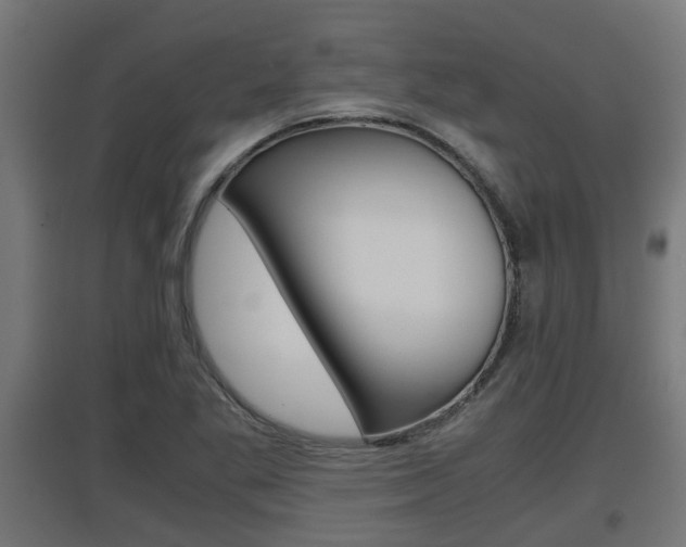 X0000097661269200802290913