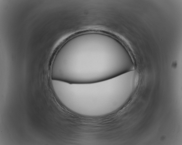 X0000097661271200802290913