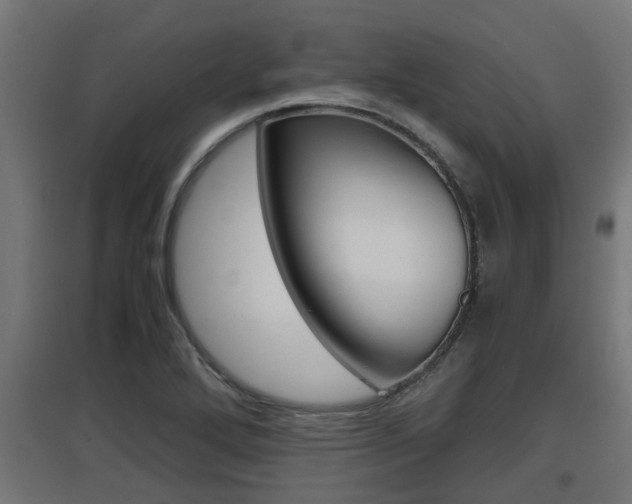 X0000097661272200802290913