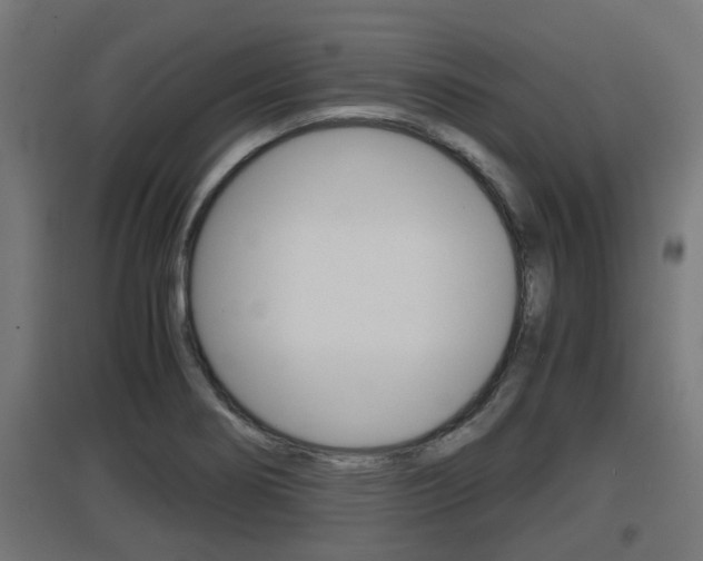 X0000097661274200802290913