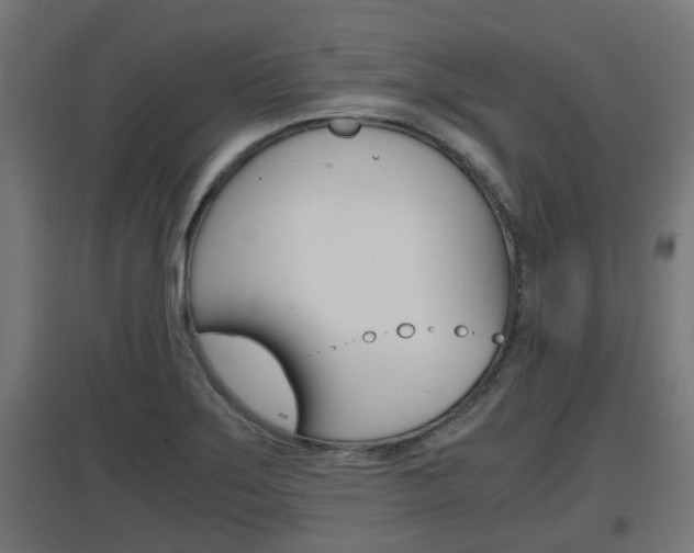 X0000097661275200802290913