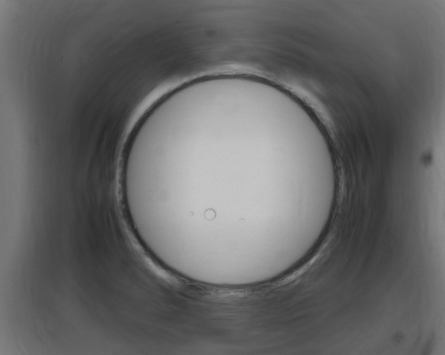 X0000097661278200802290913