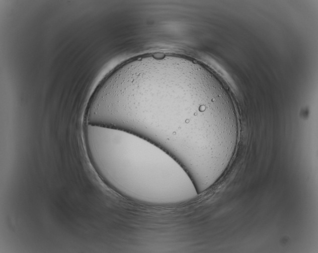 X0000097661283200802290913