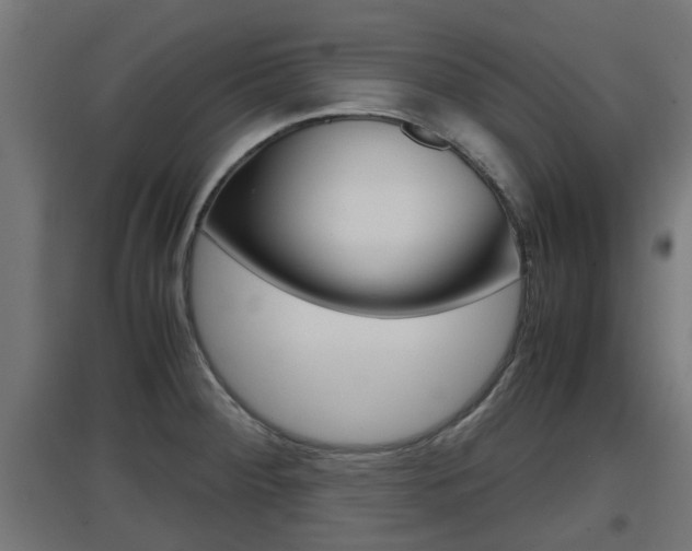 X0000097661284200802290913