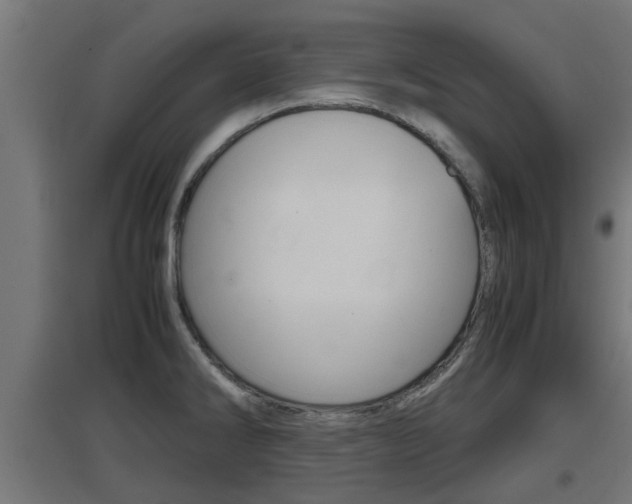X0000097661286200802290913