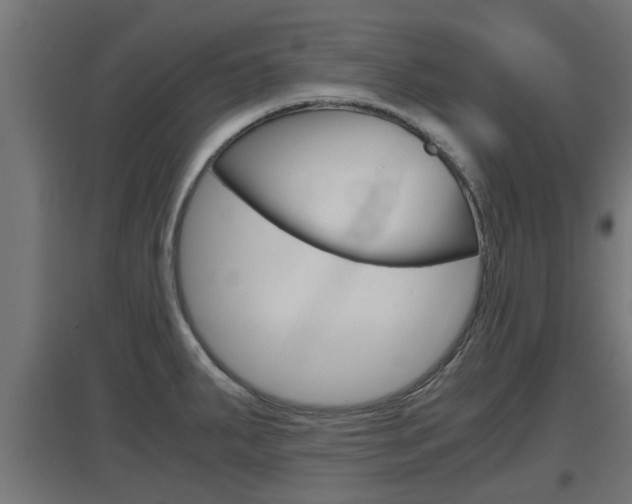 X0000097661287200802290913