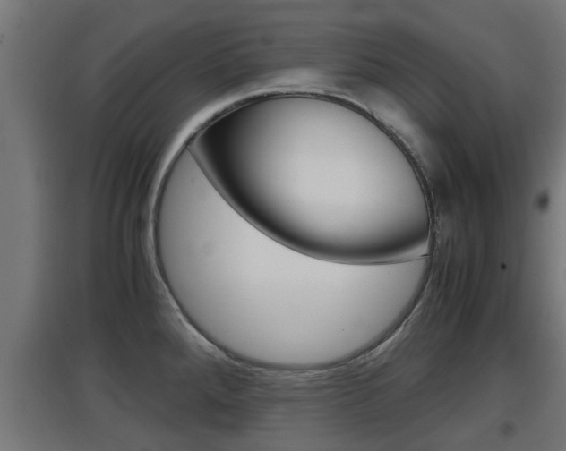 X0000097661288200802290913