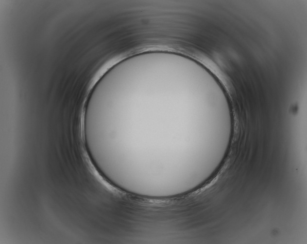 X0000097661290200802290913