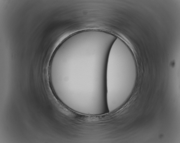 X0000097661291200802290913