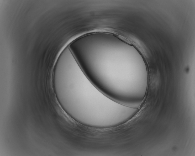 X0000097661292200802290912