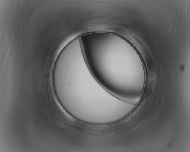X0000097661293200802290912