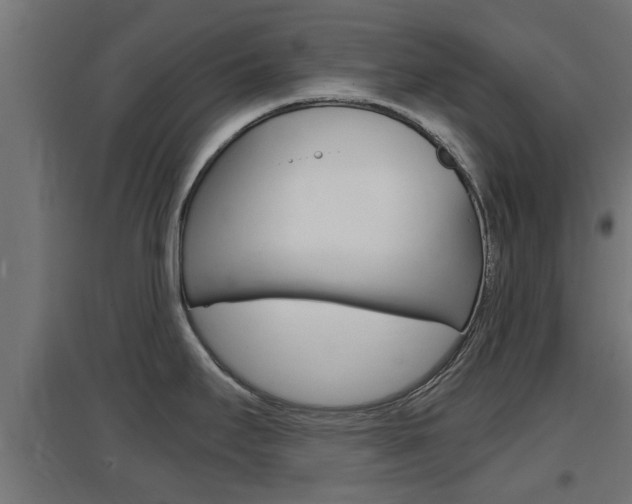 X0000097661295200802290912