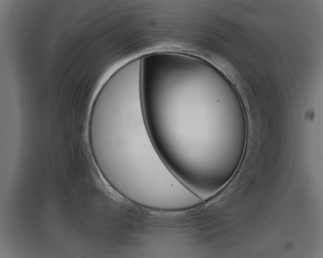 X0000097661296200802290912