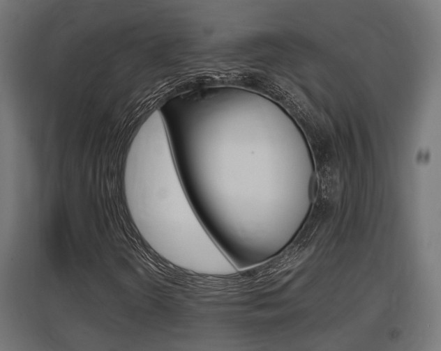 X0000097661298200802290912
