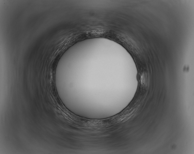X0000097661299200802290912