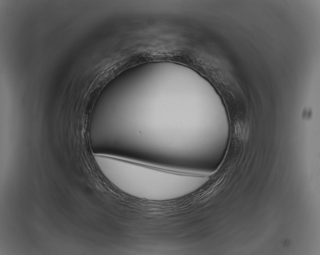 X0000097661300200802290912