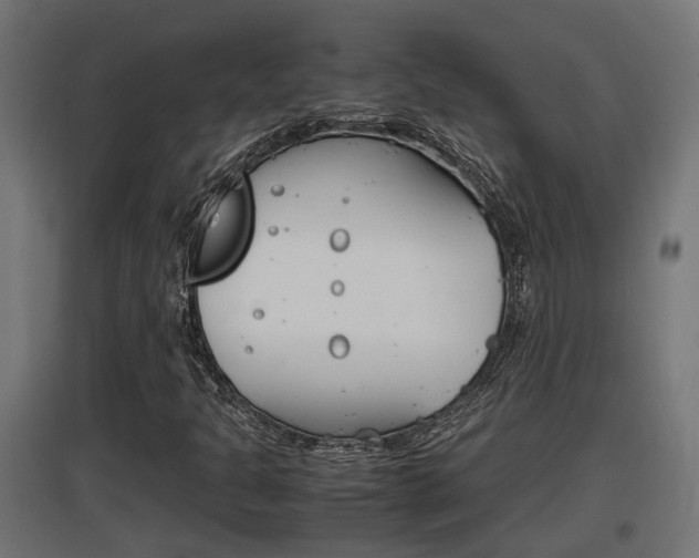 X0000097661301200802290912