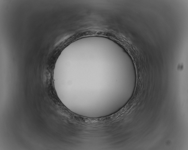 X0000097661302200802290912