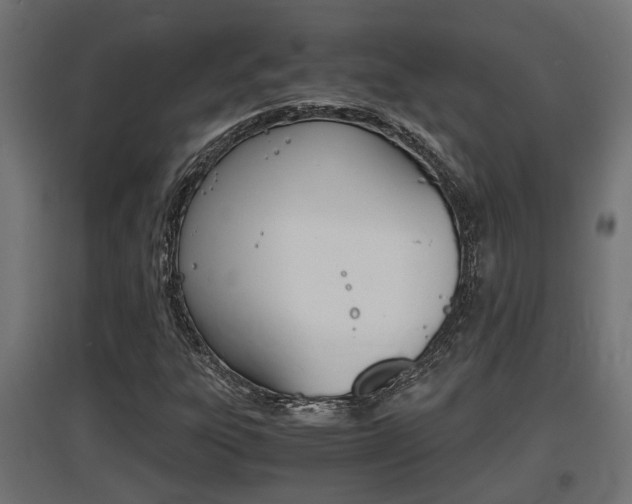 X0000097661303200802290912