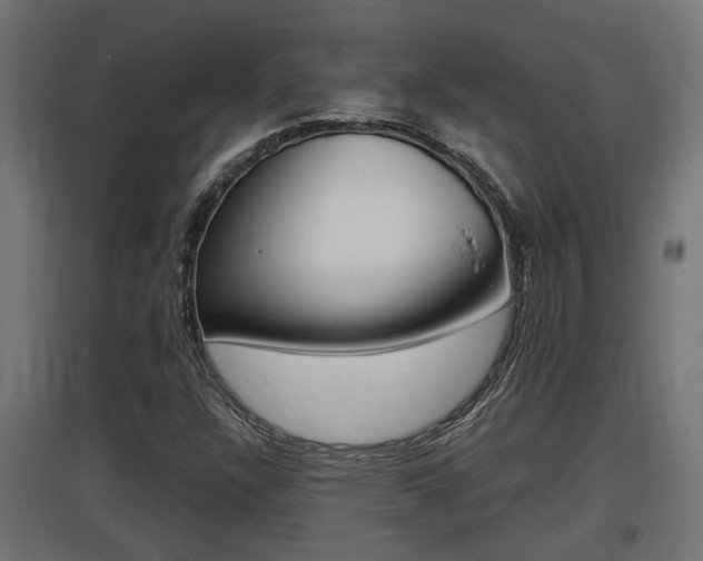 X0000097661304200802290912