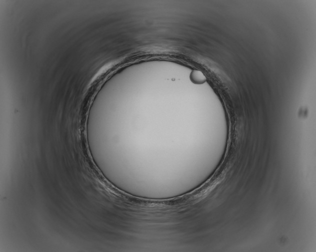 X0000097661306200802290912