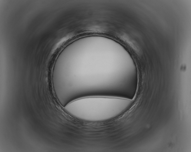 X0000097661307200802290912