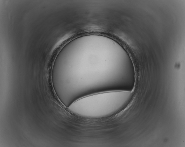 X0000097661309200802290912