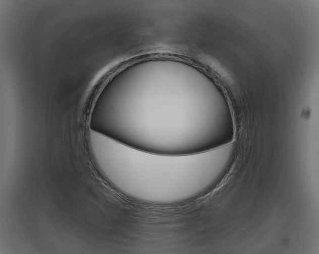 X0000097661310200802290912