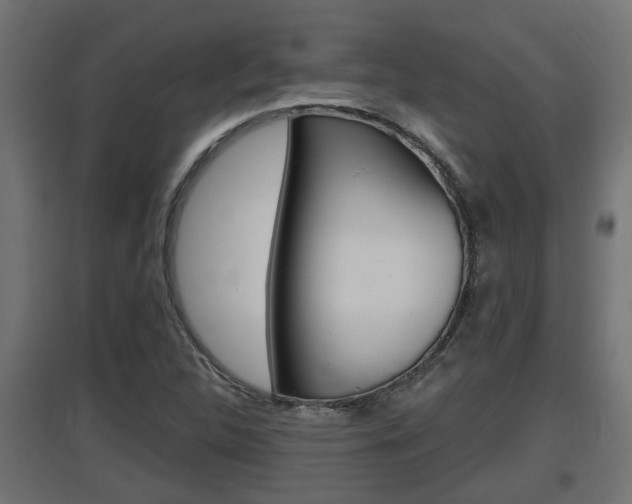 X0000097661312200802290912