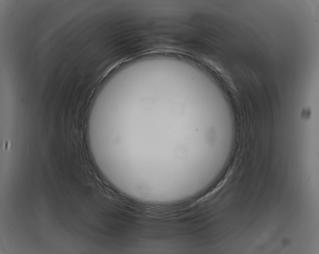 X0000097661313200802290912