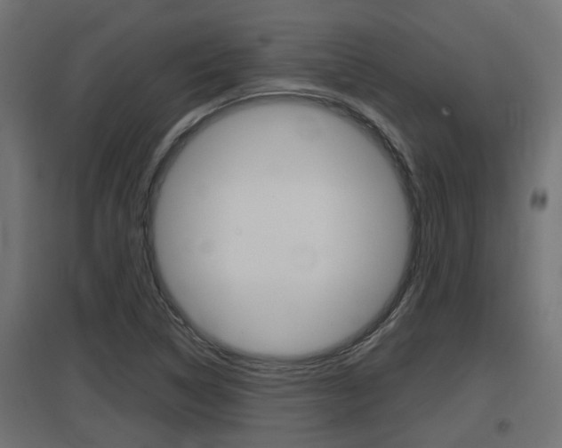 X0000097661314200802290912