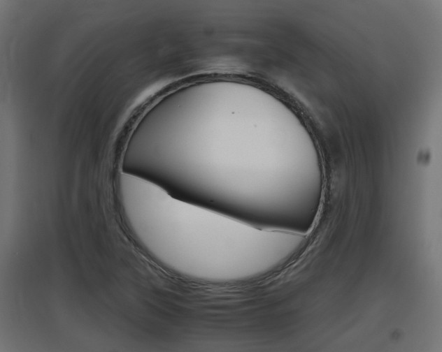 X0000097661315200802290912
